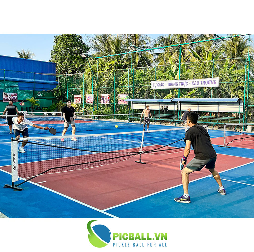 chơi pickleball trong nhà