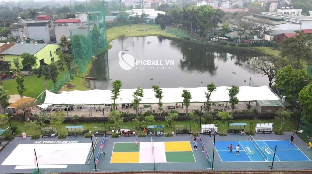 sân pickleball pro vn